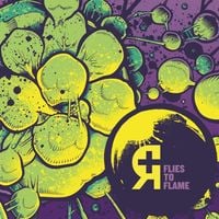 Rosetta - Flies to Flame