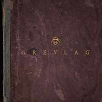 Greylag - Greylag