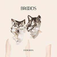 BROODS - Evergreen