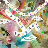 Dustin Wong & Takako Minekawa - Savage Imagination