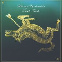 Daisuke Tanabe - Floating Underwater