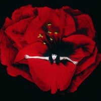 The Smashing Pumpkins - Adore [Reissue]