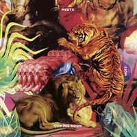 COMING SOON - Tiger Meets Lion
