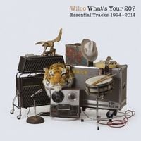Wilco - What's Your 20
