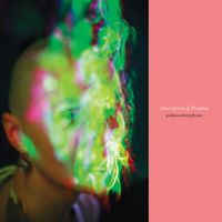 Pinkcourtesyphone - Description of Problem