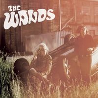 The Wands - The Dawn