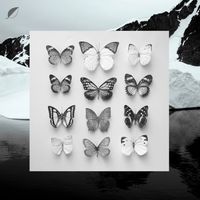Christian L&ouml;ffler - Young Alaska