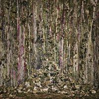 Piss Vortex - Piss Vortex