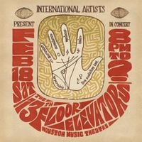 The 13th Floor Elevators - Live Evolution Lost