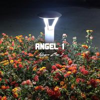 Angel 1 - Allegra Bin 1