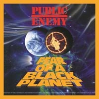 Public Enemy - Fear of a Black Planet [Deluxe Edition]