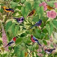Mark Barrott - Sketches From an Island