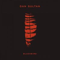 Dan Sultan - Blackbird