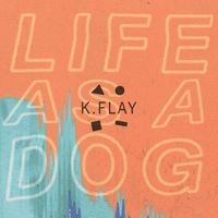 K.Flay - Life as a Dog