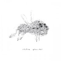 tētēma - Geocidal