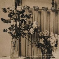 An Autumn for Crippled Children - Try Not to Love Everything You Destroy