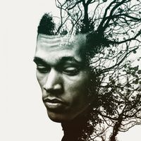 Trip Lee - Rise