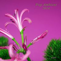 Various Artists - Pop Ambient 2014