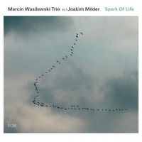 Marcin Wasilewski Trio - Spark of Life