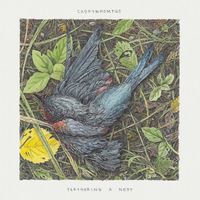 Caddywhompus - Feathering A Nest
