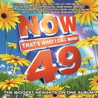 Various Artists - Now That's What I Call Music! 49