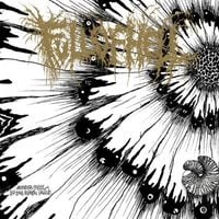 Full of Hell - Amber Mote in the Black Vault