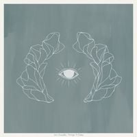 Jos&eacute; Gonz&aacute;lez - Vestiges & Claws