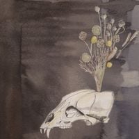 Steve Gunn & The Black Twig Pickers - Seasonal Hire