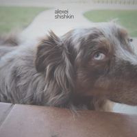 Alexei Shishkin - (the dog tape)