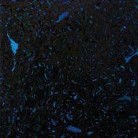 Zenker Brothers - Immersion