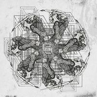 Polymath - Reptiles