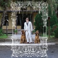 Pet Symmetry - Pet Hounds