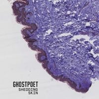 Ghostpoet - Shedding Skin