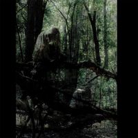 ANAMAI - Sallows