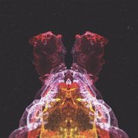 The New Division - Gemini