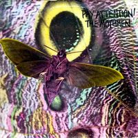Mothmen - Pay Attention!