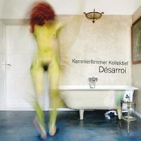 Kammerflimmer Kollektief - D&eacute;sarroi