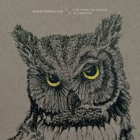 NEEDTOBREATHE - Live from the Woods at Fontanel