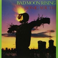 Sonic Youth - Bad Moon Rising (30th Anniversary)