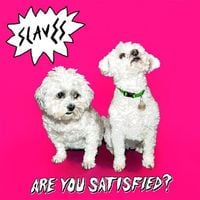 SOFT PLAY - Are You Satisfied?