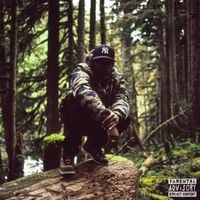 Remy Banks - Higher