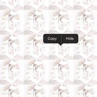 G - Copy Hide