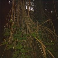 Beno&icirc;t Pioulard - Stanza