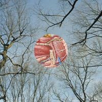 They Might Be Giants - Glean