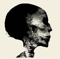 Chaos Ech&oelig;s - Transient