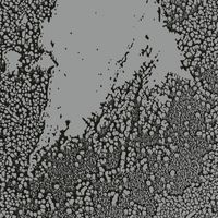 Walls - Urals