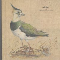 A Grave With No Name - Feathers Wet, Under the Moon