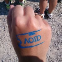 Ratboys - AOID
