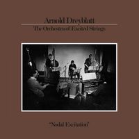 Arnold Dreyblatt - Nodal Excitation