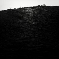 Grasscut - Everyone Was A Bird